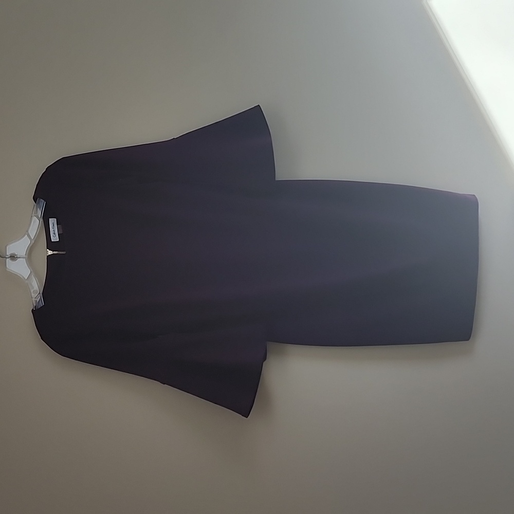 Calvin Kelin dress